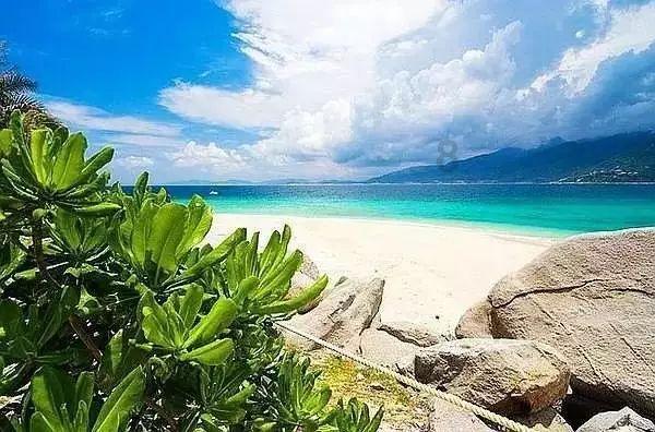 过期的豆奶可以浇花吗-全球最新最热的红迪网平台